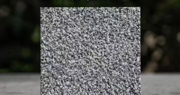 咸宁 芝麻黑荔枝面