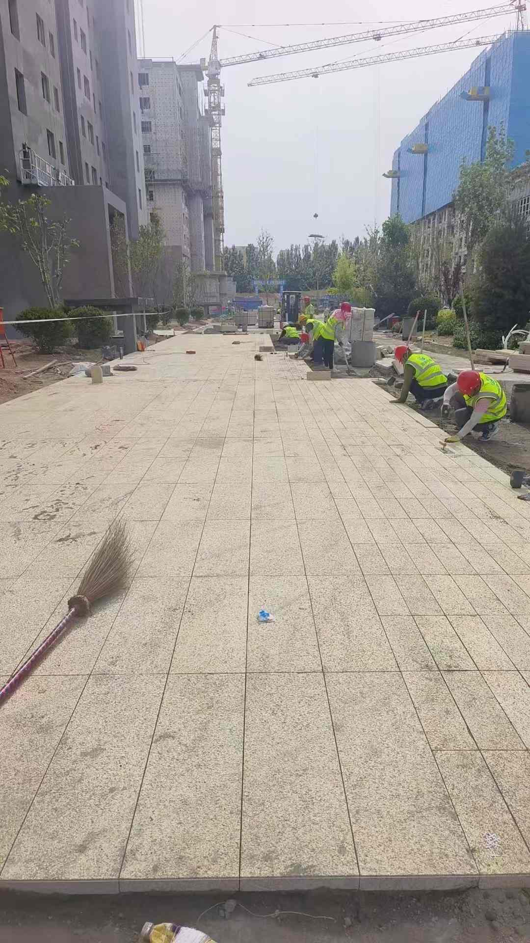 咸宁黄金麻荔枝面地铺案例