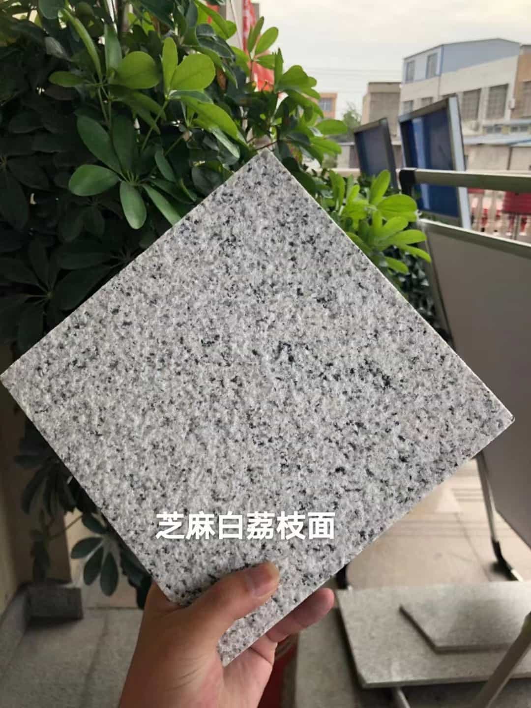 咸宁 芝麻白荔枝面干挂